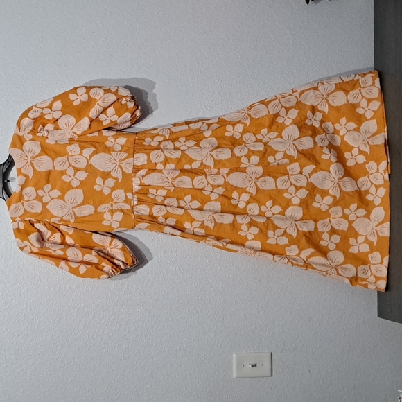 Ted Baker London Cinthy Floral Jacquard A-Line Dress - Picture 10 of 12